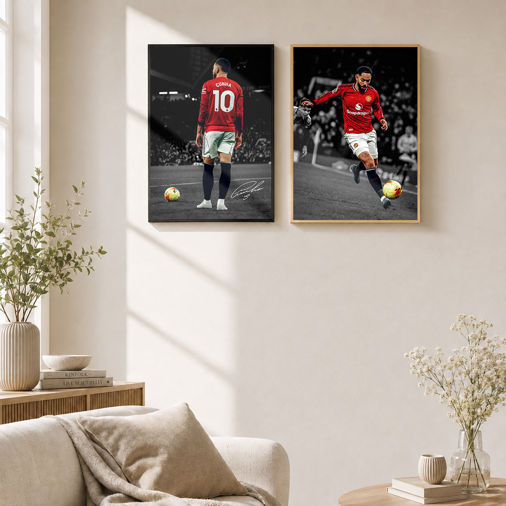 Matheus Cunha Framed Aluminum  - đánh giá và giá Home Gym Custom