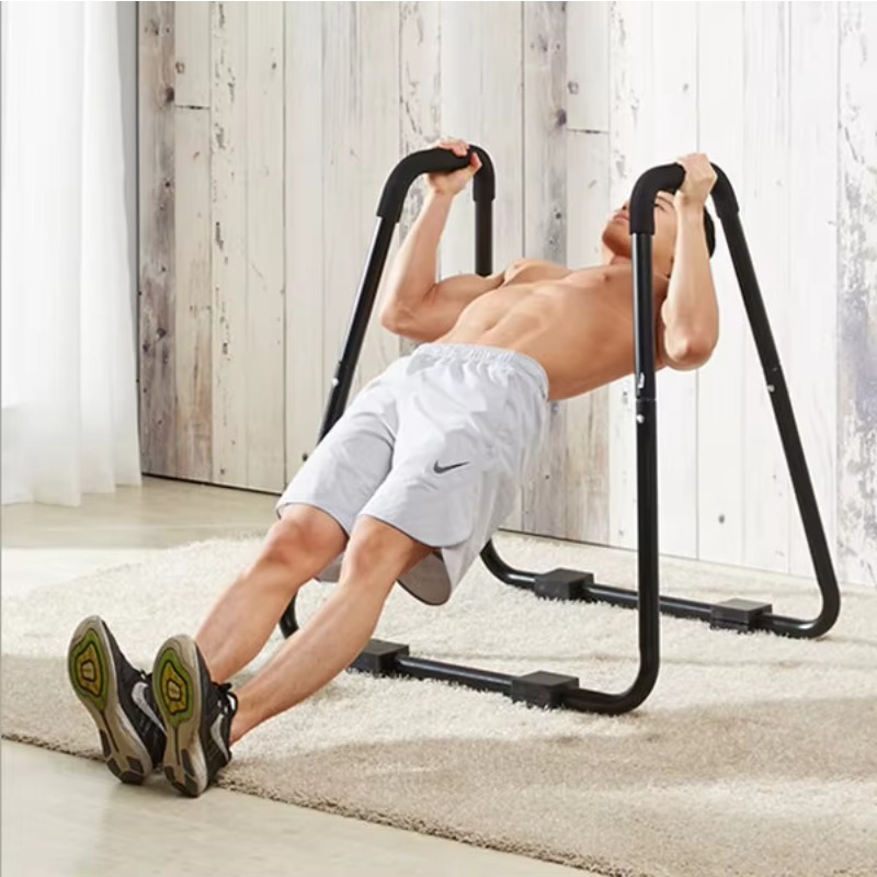 Indoor Home Gym Steel Fitness  - đánh giá và giá Dip Station Parallel