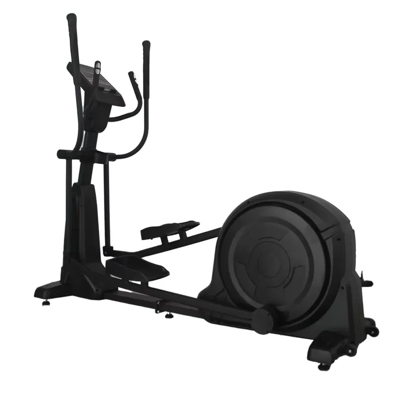 Commercial Electric Rotary Bic - đánh giá và giá Home Gym Cost