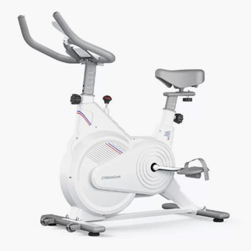 Indoor Stationary Spin Bike, S - đánh giá và giá Home Gym Garden