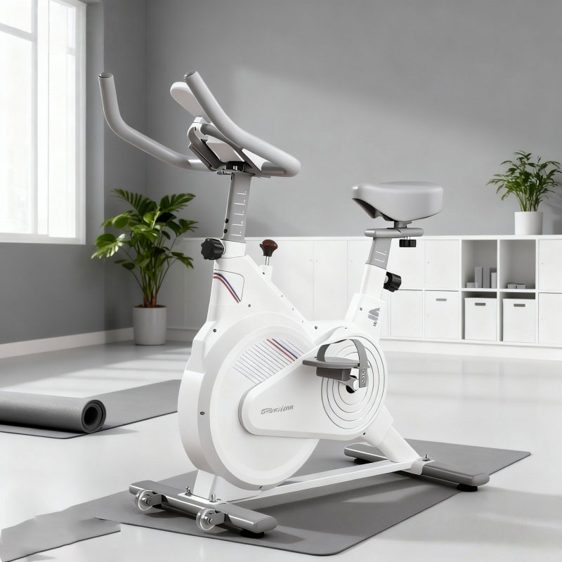 Indoor Stationary Spin Bike, S - đánh giá và giá Home Gym Garden