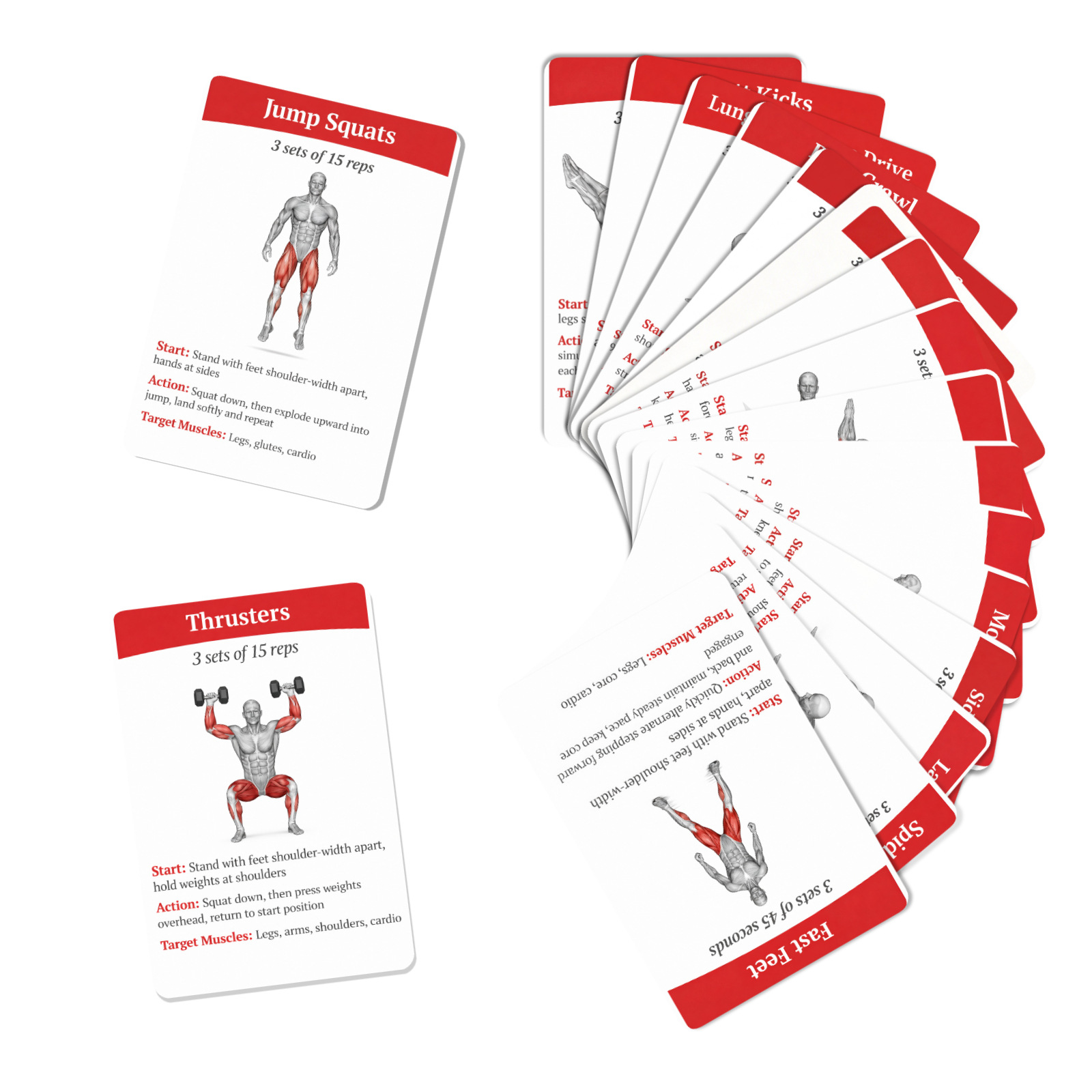 36Pcs Full Body Fat Burning Wo - đánh giá và giá Home Gym Full Setup